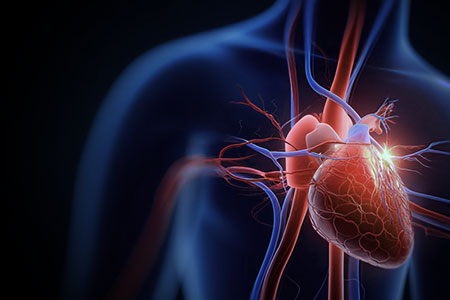 Illustration of a heart with neural network connections on a dark background