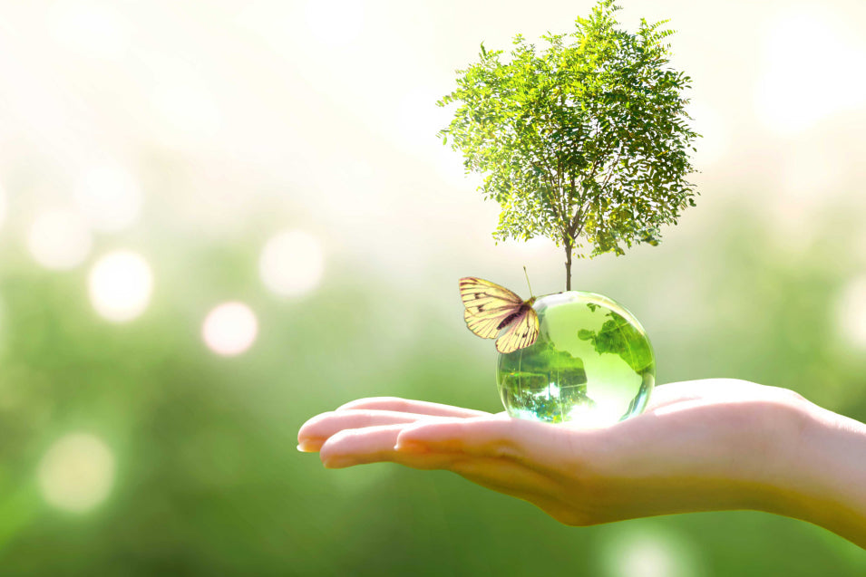 Woman hand holding the earth, a tree and a butterfly. Green background.